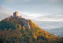 Modellregionen von Weltrang – Ausstellung über UNESCO-Biosphärenreservate im Pfälzerwald und in Mainz