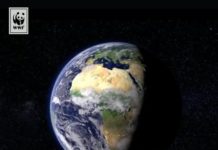 13. Earth Hour: TU Kaiserslautern beteiligt sich an Klimaschutz-Aktion der Umweltorganisation WWF