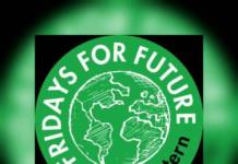 Fridays for Future Kaiserslautern