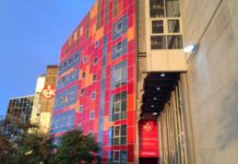 Große Ausbildungsbörse auf dem Betze: Ein Ort, viele Chancen