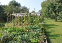 Garten-Wettbewerb eröffnet – Aktionen und Veranstaltungen im Projekt „Gärten für die Artenvielfalt“