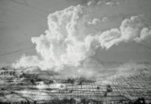 Blickfang und Amanita – Ausstellungen zum Pfalzpreis für Bildende Kunst im mpk