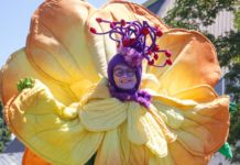 Gartenschau öffnet am 30.03. – Offizielle Eröffnungsfeier am 31.03.