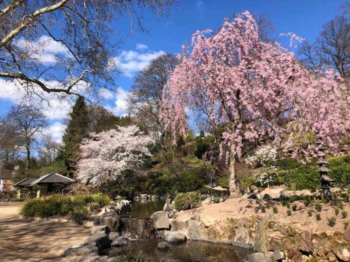 Japanischergarten 02