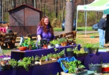 Pflanzentauschbörse am 14. April: Nutzen statt Entsorgen – Gartenpflanzen finden neues Zuhause