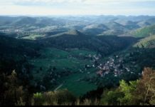 Über Landnutzung sowie Land- und Forstwirtschaft – Vortragsreihe in der LUFA Speyer