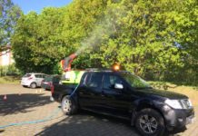 Bekämpfung des Eichenprozessionsspinners