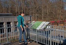 Erste Infotafel zum Luchs im Pfälzerwald aufgestellt