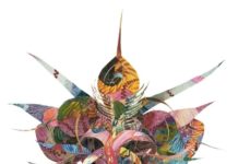 Dschungel-Königin: Familienführung mit Praxis im mpk