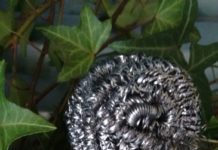 Tipp: Nachhaltig leben – wie wär’s mit Putzen light?