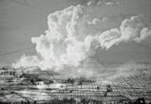 Heike Negenborns Landschaften – Führung am Feiertag durch die Pfalzpreis-Ausstellung des mpk