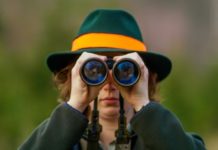 Auf Pirsch im Pfälzerwald