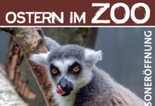 Osterspaziergang und Ostergottesdienst zur Saisoneröffnung im Zoo-Kaiserslautern