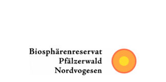 Bund und Land fördern Weidetierhaltung und Natur im Pfälzerwald mit insgesamt 11,5 Millionen Euro
