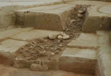 Früher Ackerbau und einzigartige Rituale in der Pfalz – Vortrag in der LUFA Speyer