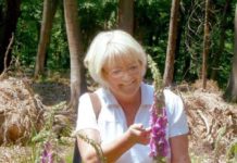 Mit Kräuterexpertin und Musikantenland-Duo: Pfalzbibliothek Kaiserslautern lädt zum Hoffest