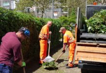 Pflegemaßnahmen rund ums Rathaus – Grünschnitt und Reinigungsmaßnahmen der Stadtbildpflege