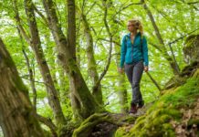 Wald bewegt – Onlinetickets für Wandermarathon Pfälzerwald ab sofort erhältlich