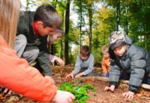 Willkommen im Zauberwald – Spannende Waldrallye für Familien mit Kindern an Christi Himmelfahrt