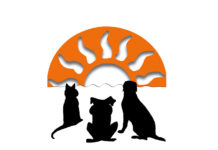 Ehrenamtskarten für den Tierschutzverein Kindsbach e.V. und dessen Tierrettung