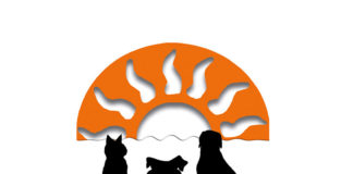 Tierschutzverein Kindsbach mit 24Std. Bereitschaft