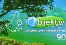 Kaiserslauterer Wald ist im Fernsehen zu sehen