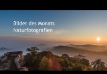 Naturfotografien begabter Fotografen aus der Pfalz als Video