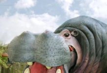 Gartenschau Kaiserslautern – Familienfestival der Kulturen 29. und 30.06.