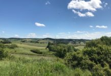 Wie der Klimawandel den Kommunen zusetzt – und was sie tun können