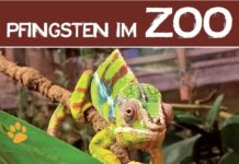 Das große Pfingst-Familienfest im Zoo Kaiserslautern