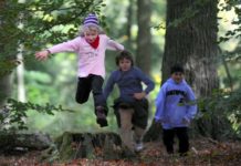 Wald-Jugendspiele am 18. Juni – bei jungen Menschen Verständnis für Natur wecken