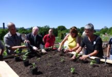 Historischer Gemüsegarten auf der Gartenschau