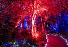 Die Gartenschau erstrahlt wieder in besonderem Licht