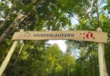 Führung durch den Ruheforst