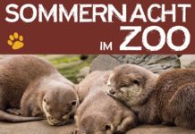 Bunte Lichtershow am 24.08.2019 bei der „Nacht der Tiere“ im Zoo Kaiserslautern