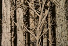 Museum Pfalzgalerie Kaiserslautern will Lehrkräfte für ihre Klassen fit machen