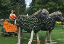 Gartenschau Kaiserslautern – Kürbisausstellung „Römer“
