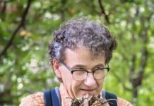 Waldbaden (Shinrin Yoku) am Haus der Nachhaltigkeit