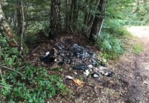 Werkfeuerwehr verhindert Waldbrand