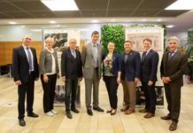 Stars and Stripes vor 100 Jahren im Südwesten