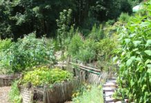 Gärtnern für die Artenvielfalt – Jardiner pour la biodiversité: Preisverleihung im deutsch-französischen Wettbewerb