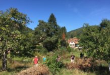 Gärten für die Artenvielfalt prämiert