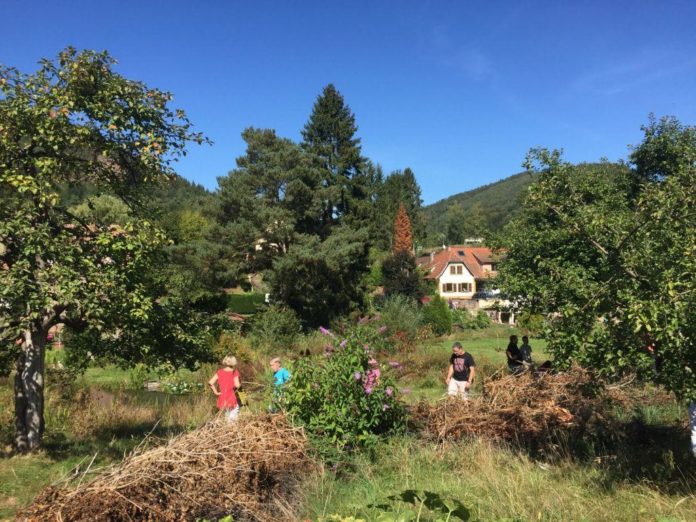 Jardin hymenoptera_Preisverleihung Gärten für die Artenvielfalt