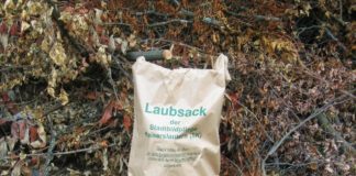 Stadtbildpflege Kaiserslautern informiert zur Herbstlaubentsorgung