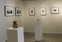 Amipfalz – Zwei Perspektiven in zwei Sprachen