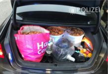 Auch fürs Pilze sammeln gelten Regeln