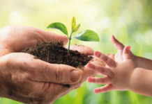 Landwirtschaft der Zukunft