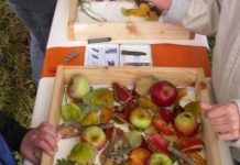 Selbstgemachte Gummibärchen, Infos und spannende Aktionen beim Biosphärenhaus