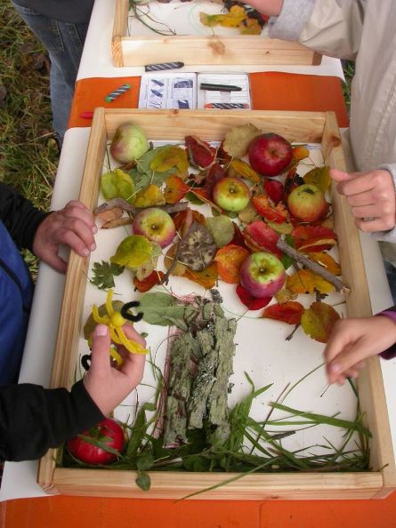 Streuobst Diehl 071010 (23) (2)