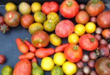 Umweltschonend hergestellte Qualitätsprodukte aus der Region